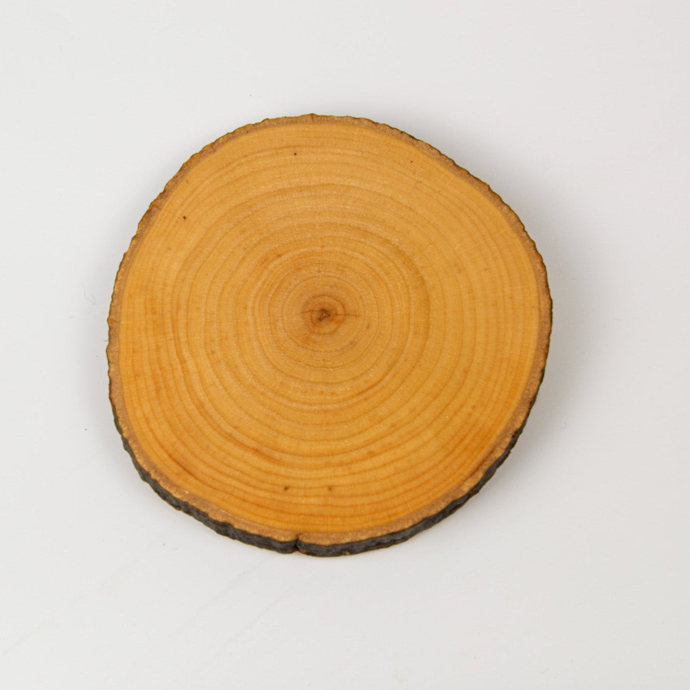 Holzdeckel für Becher – Erlenholz mit Rinde