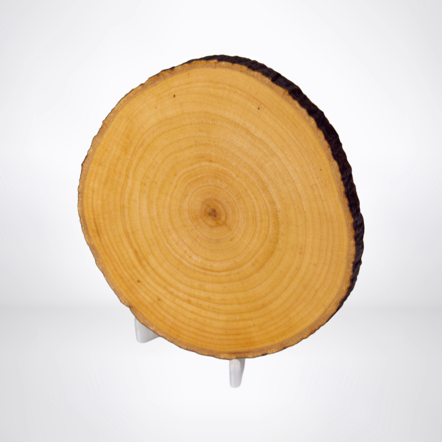 Holzdeckel für Becher – Erlenholz mit Rinde