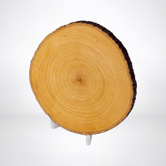 Holzdeckel für Becher – Erlenholz mit Rinde